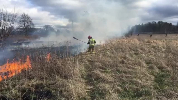 Pożar traw, Braniewo