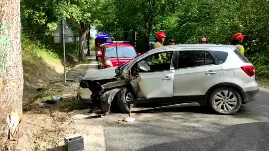 Kierowca uderzył w drzewo