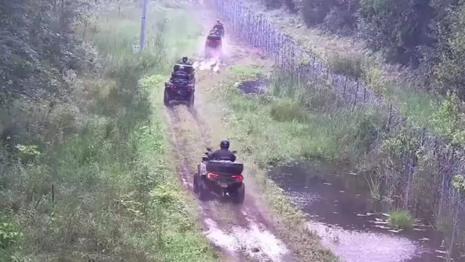 Quady na pasie granicznym